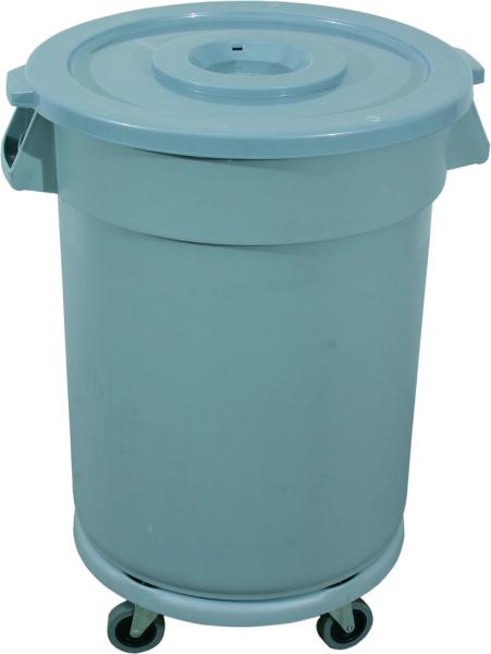 005 9219120 (25) W Abfallbehälter-Abfalltonne mit Deckel 120 ltr.
